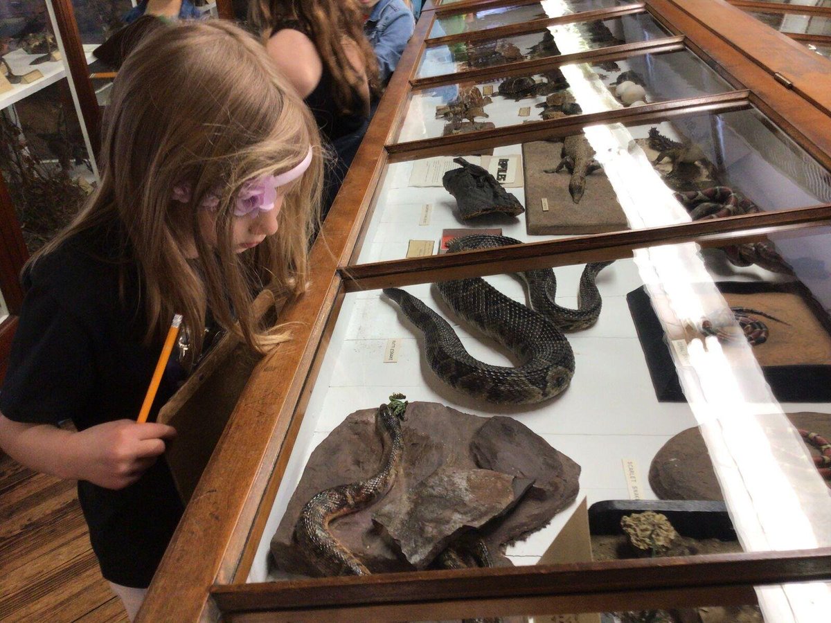 hfsFriends's tweet photo. As part of their study of dinosaurs, kindergarten visited the Wagner Free Institute of Science!
#fieldtrip #dinosaurs #fossils #joyouslearning #kindergarten https://t.co/Ez9k5eYXgf