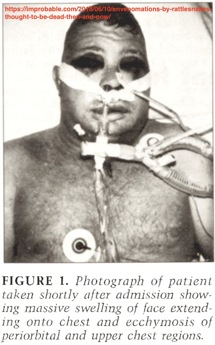 Well... That’s Interesting tweet media