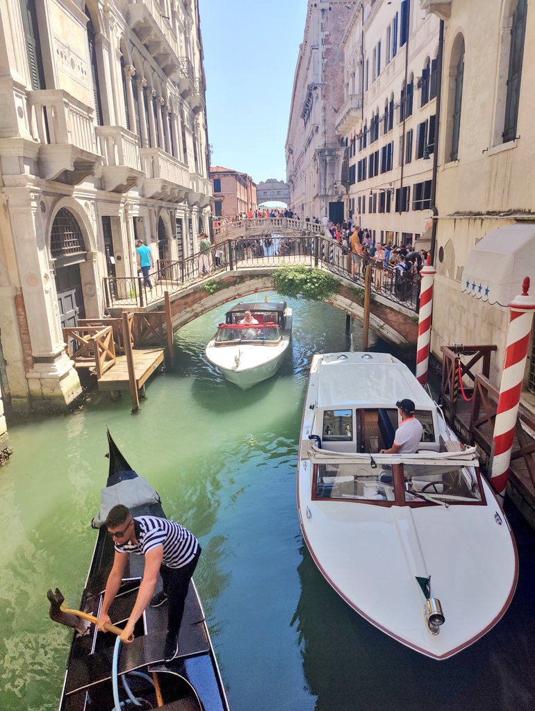 ShellClancy93's tweet image. When the teachers are more excited for the theme park than the students 🎢🏄‍♀️

Finishing up a successful year with the most beautiful @StepasideETSS crew ☀️🤌🏼🇮🇹   #TYtrip