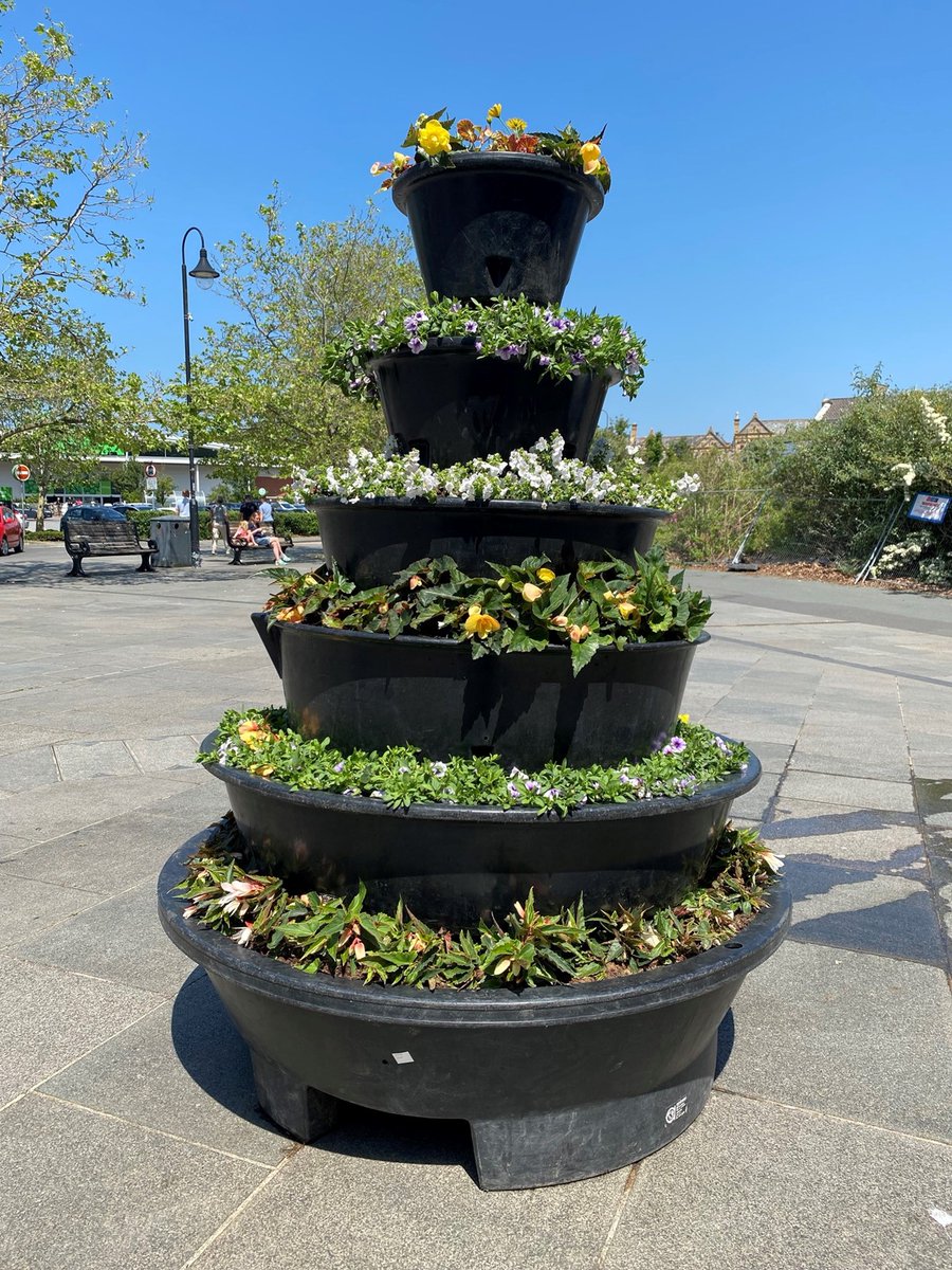 We love it when the summer flower displays arrive, can't wait to see them bloom 🌻🌺🌹🌷🦋🐛🐞 #lovewhereyoulive #newtonabbot #community #nature