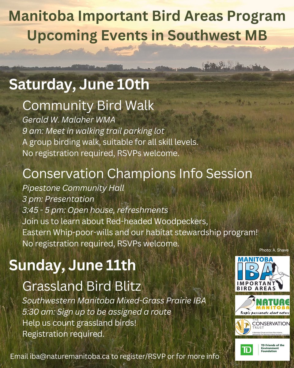 ManitobaIBA's tweet photo. 🚨Upcoming events!🚨

We've got a full weekend of fun coming up in SW MB! Join us for a bird walk by Melita, a presentation on Red-headed Woodpeckers and Eastern Whip-poor-wills in Pipestone, and a grassland bird blitz. 

Email iba@naturemanitoba.ca to sign up or for more info! https://t.co/CnvItBKtLw
