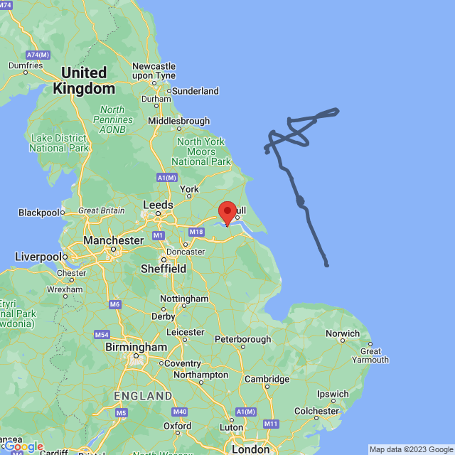 EGD307's tweet photo. New Range Contact:
"WARLOR42" ZK321 [Eurofighter Typhoon FGR4] of Royal Air Force of United Kingdom at 22859ft AMSL

{EGXWinfoGroup Robot} https://t.co/tMvEan6V6B https://t.co/tGtDmUOOcS