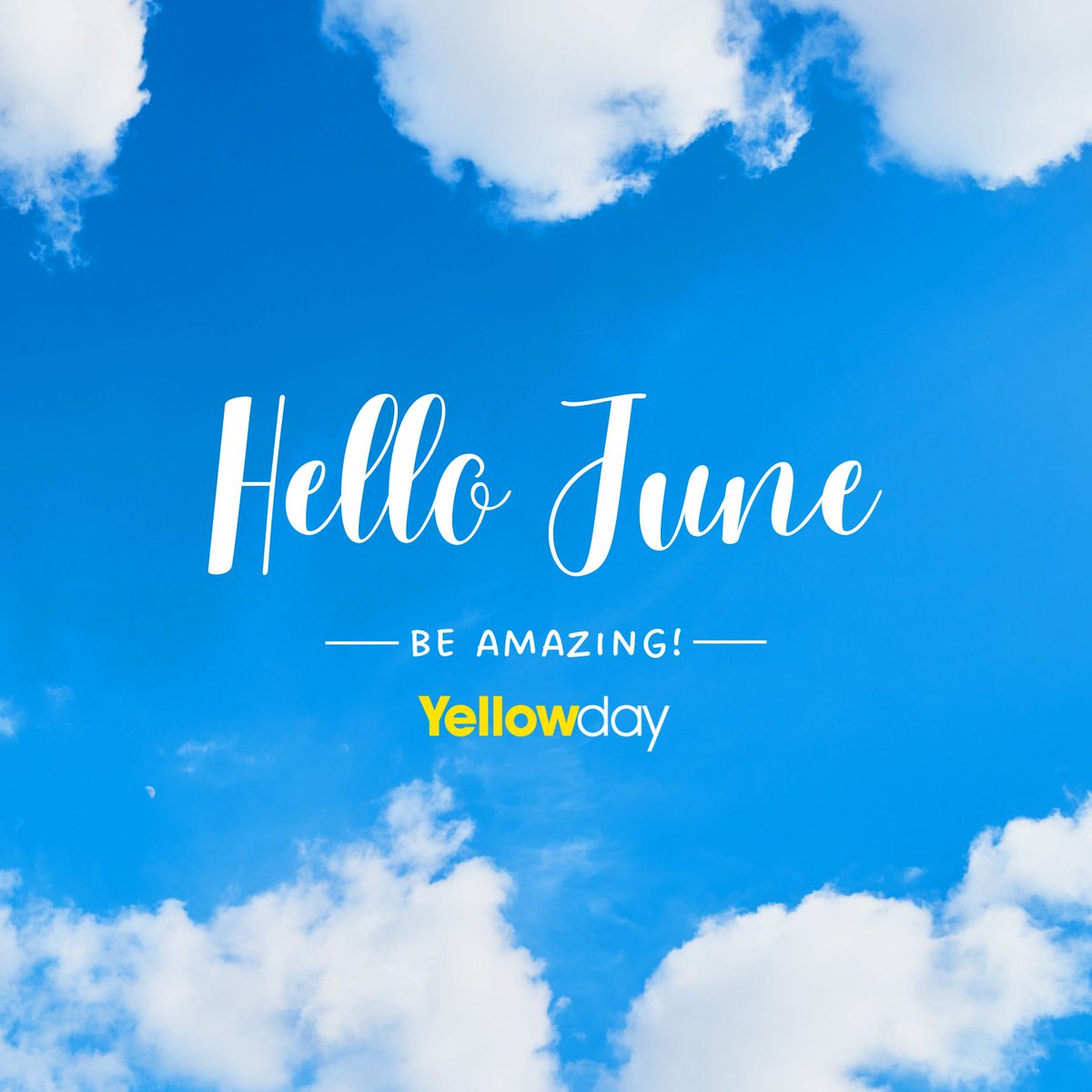 Yellowday Training tweet media
