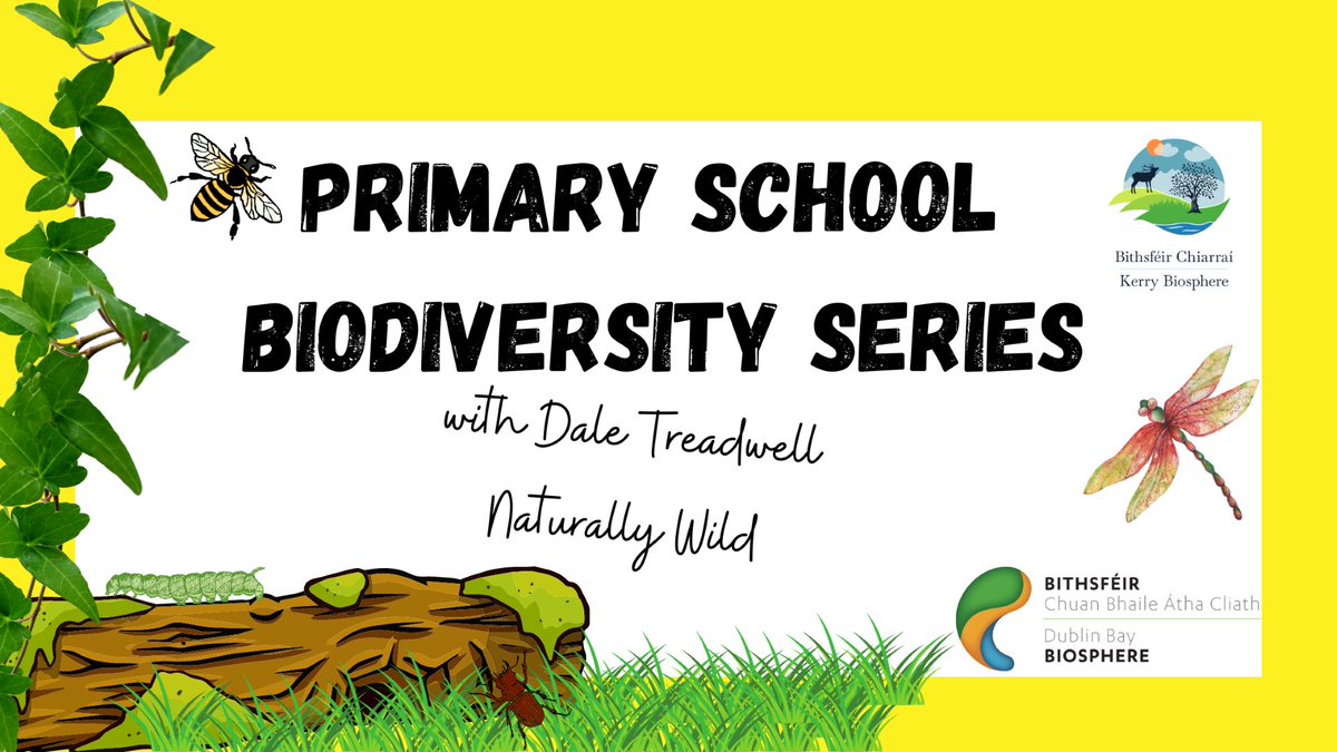 Small scramble / trials course available in Douglas , ideal for learners ,  contact Paul 256816, image size:1200x675