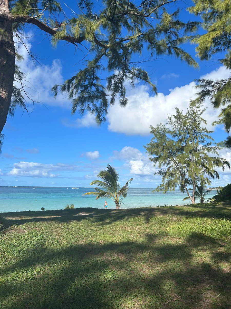 One week left until I’m back to losing bo4 challs 🇲🇺