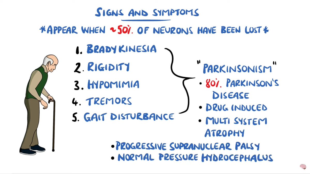 Pathophysio:
Basal ganglia - substantia nigra pars compacta - alpha synuclein - dopamine in d1r and d2r - parkinsonism

youtu.be/_pZmMU2xLM8
huge help @RhesusMedicine, i love your videos 

#parkinsonism #basalganglia #neuroanatomy