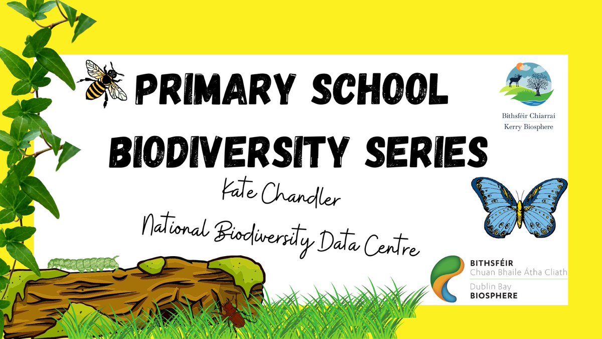 Dublin Bay Biosphere (@dublinbiosphere) on Twitter photo Primary School Webinars with Kate Chandler, Tuesday 13th June 10am
Kate is the Pollinator Plan Communities and Engagement Officer with <a href="/BioDataCentre/">Biodiversity Ireland</a> and will deliver a webinar on Ireland's pollinators and their importance to biodiversity.
link ml6.in/ZBFZb Primary School Webinars with Kate Chandler, Tuesday 13th June 10am
Kate is the Pollinator Plan Communities and Engagement Officer with <a href="/BioDataCentre/">Biodiversity Ireland</a> and will deliver a webinar on Ireland's pollinators and their importance to biodiversity.
link ml6.in/ZBFZb