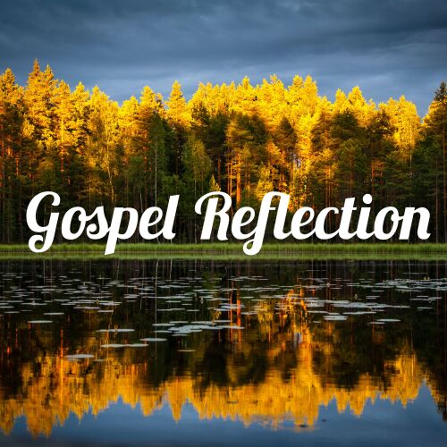 If you're reflecting on the Gospels with a weekly rhythm, this week's reading is Matthew 28:16-20.  For a daily rhythm, today's reading is John 1:1-18.  The four steps are 1-read, 2-reflect, 3-pray, 4-pause.