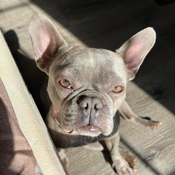 DWinestone's tweet image. @DWinestone