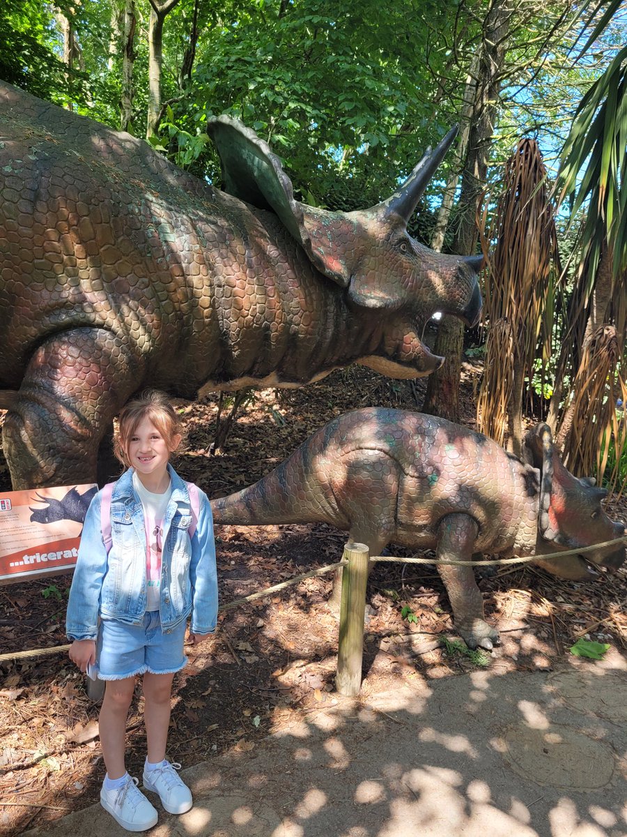 lucyjoymac1's tweet photo. @yr1melthamce C has had a fun few days in blackpool ☀️..she even saw some dinos 🦖🦕 https://t.co/Og8DEVgBDz