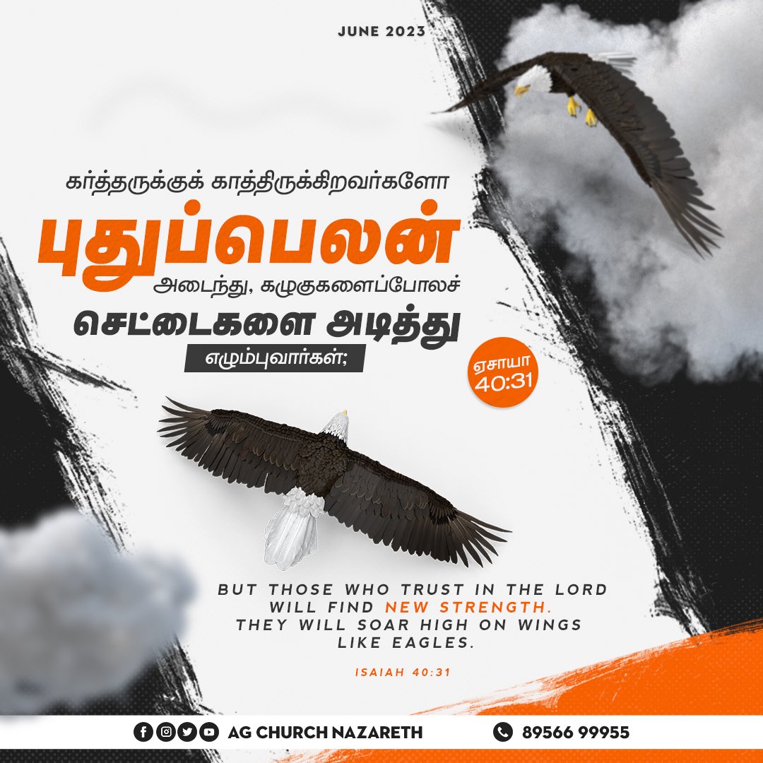 June Month Promise!

#Is40v31 #may #promiseword #bibleverse #tamil #photoshop #design #davedomain #instalike #instapic #agchurch #nazareth