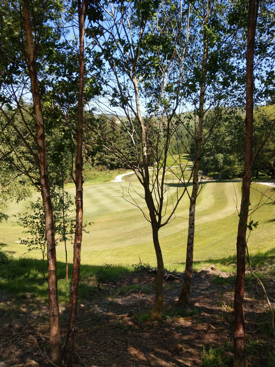 murr5patrick's tweet photo. "Happy Thursday's " @macreddingolf 🏌#gloriousmacreddin👌😀.Great day's golf guy's Wow 🤔macreddin playing like a links today glorious. 👌.#opensingles. Book online 👇 https://t.co/QGYdtBGSb4 ⛳ https://t.co/4FpZ7klbBe