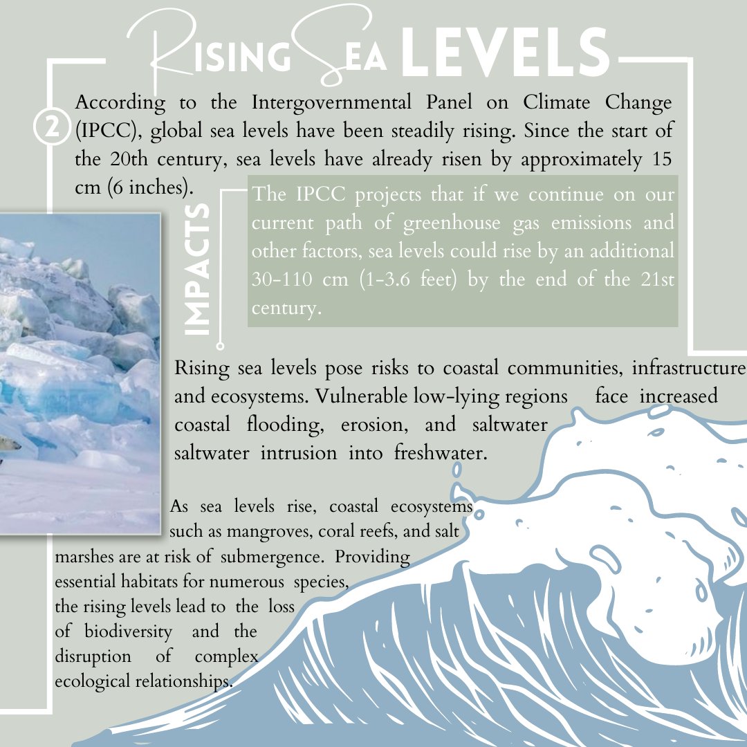 ProjOxigenado's tweet photo. 🌍 Unveiling the Consequences: #RisingCO2 &amp; #Emissions ⚠️💨
From #extremeweather events to #biodiversityloss and #climatedisruptions, the impacts are real and urgent. It's time to take action for a #SustainableFuture 🌿💚
#CO2Consequences #ClimateEmergency #ClimateReality #ActNow https://t.co/OvD7NDTA9e