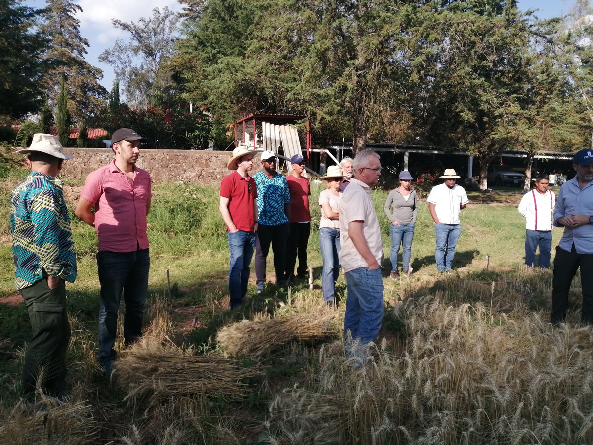 HubPSurCimmyt's tweet image. Que es el Hub? Es el medio por el cual diversas personas, instituciones, organizaciones, etc., compartimos y gestionamos nuestro conocimiento es parte de las reflexiones del grupo de #GIZ especialistas en escalamiento.
#HubPSur
@ACCIMMYT
@fondoparalapaz
@inifap
@LennartWol