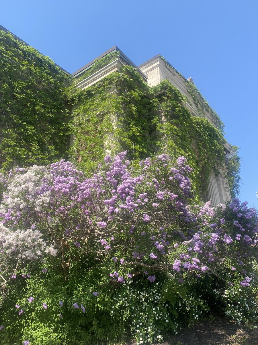 Springtime show off <a href="/Acadia_Kine/">Acadia Kinesiology</a> <a href="/AcadiaU/">Acadia University</a>