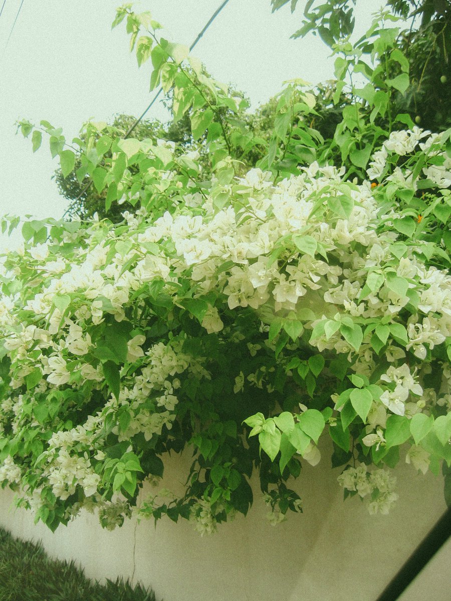 the3rdtone's tweet image. Daily photo project         
#7mp // shot 15   

Feel free to retweet 🙂