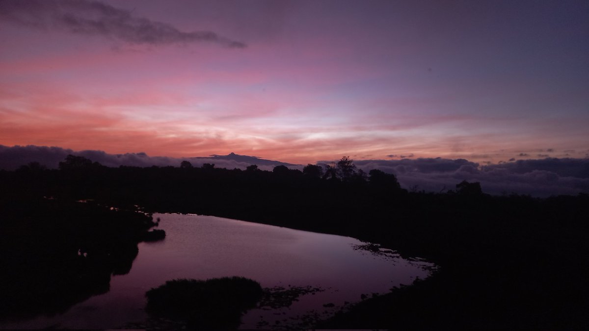 When sunsets are ethereally beautiful to me.. I hardly get to witness a clear colour palate of a #sunrise.. but I won't be able to complain much after this now!! 🇰🇪🇰🇪🇰🇪

#nature 
#earlymorningfind 
#kenyatravel 
#turtlegotwings 

Follow @payeldutta24