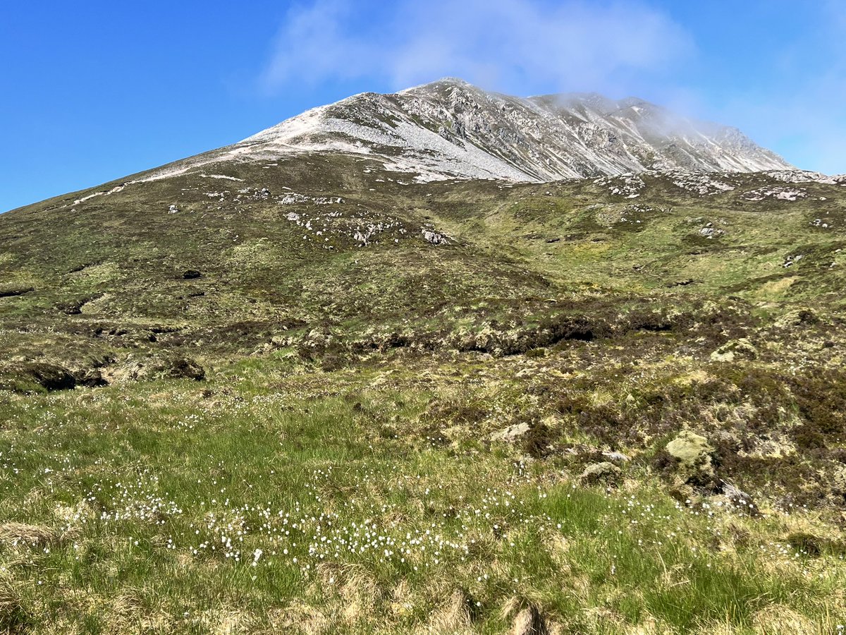 PeakBaggerQ's tweet photo. Saved best peak for the last, Errigal Mountain, Donegal County HighPoint. Impressive trail work by the #Donegal County Council made the hike much better. Thank you #Ireland for 5 spectacular weather days this week. #CountyTops. https://t.co/haAbuIIgEu