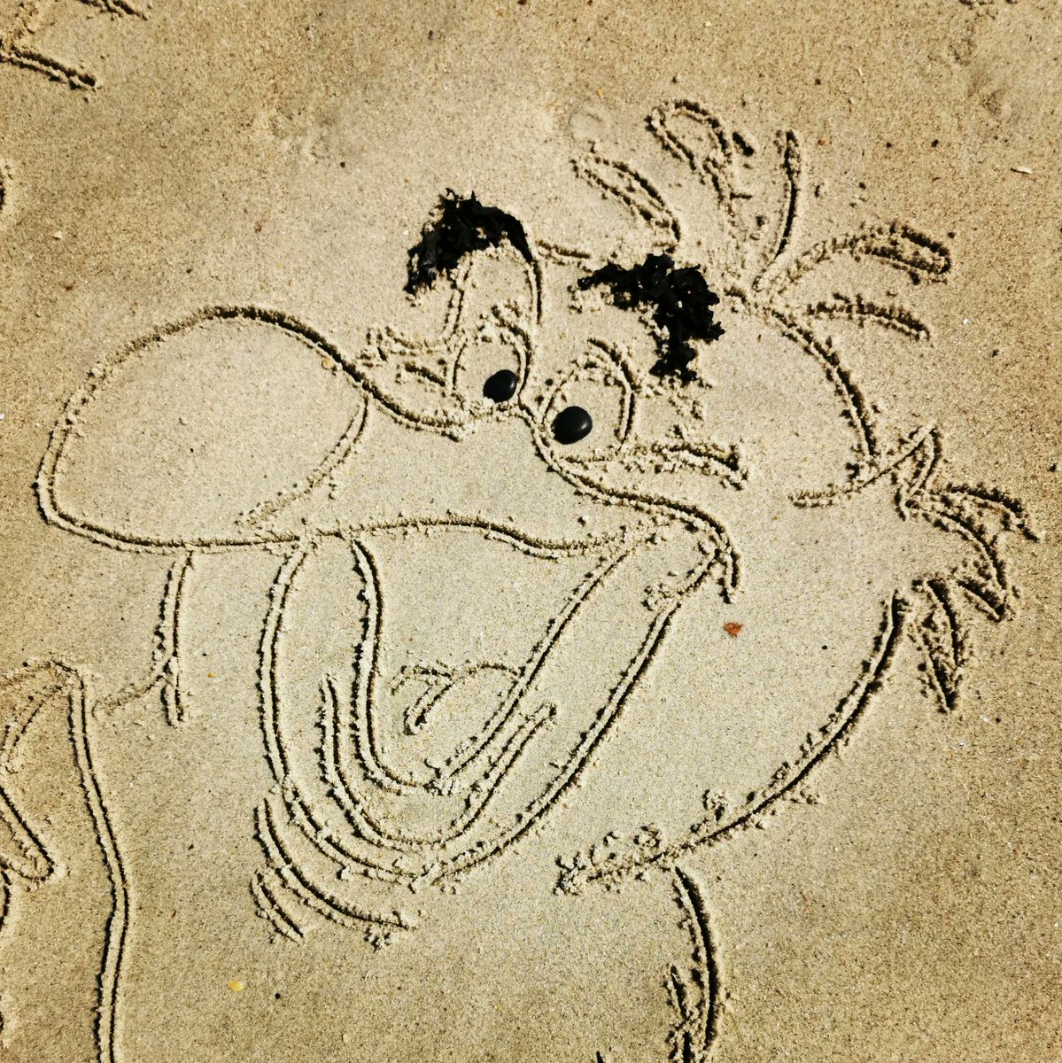 Scuttle - The Little Mermaid 🧜‍♀️
Make it up 😜 #Scuttle #seagull #TheLittleMermaid #buddyHackett #HumanStuff @disney #Mermaid
💛 #Morein2023 #Covid2022 #Lockdown2021 #morale #VitaminSea 🌊 #DuneToons #Lockdown2020 #comics #cartoons ✍️ #SandBanksy #shorelinesally Character No.1876