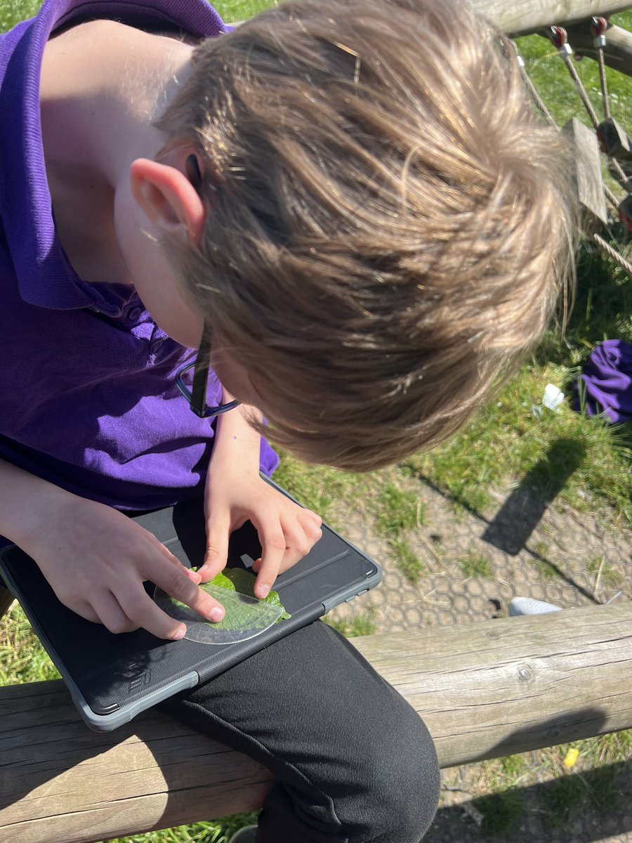 We have been recapping angles recently and decided to take our protractors outside to see what angles we could find in the playground 📐☀️
