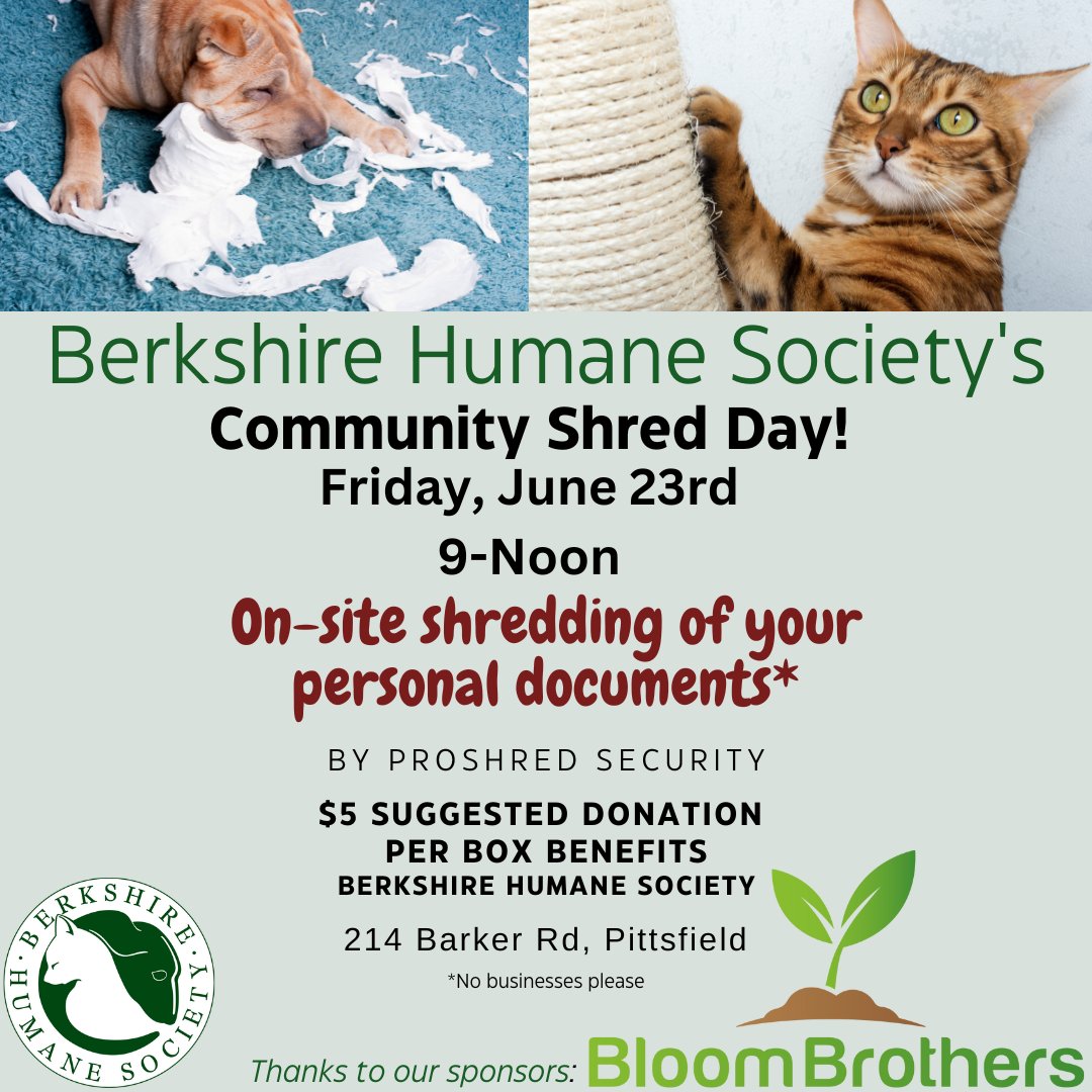 berkshirehumane's tweet image. Save the Date! Community Shred Day 6/23, 9 am-12 pm @berkshirehumane -secure document destruction by @PROSHREDSpring sponsored by @bloombrothersma   #shredday #CommunitySupport #documentdestruction