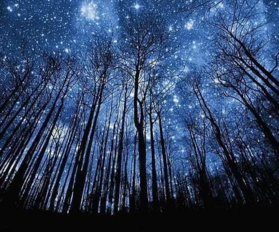 Ömür bir masal gibidir. 
Ne kadar uzun olduğu değil 
Ne kadar güzel yaşandığı önemlidir
#Geceye⭐️
                                #HayırlıCumalar🌺