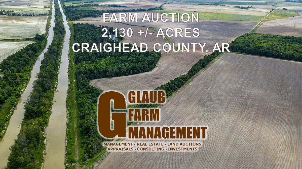 Arkansas Farm &amp; Land Auction: 2,130+/- to be sold in up to 7 tracts located in west Craighead County within the Cache River Flyway. Each tract has distinctive features and opportunity! Simulcast Live &amp; Online Bidding. tinyurl.com/53ht5j85