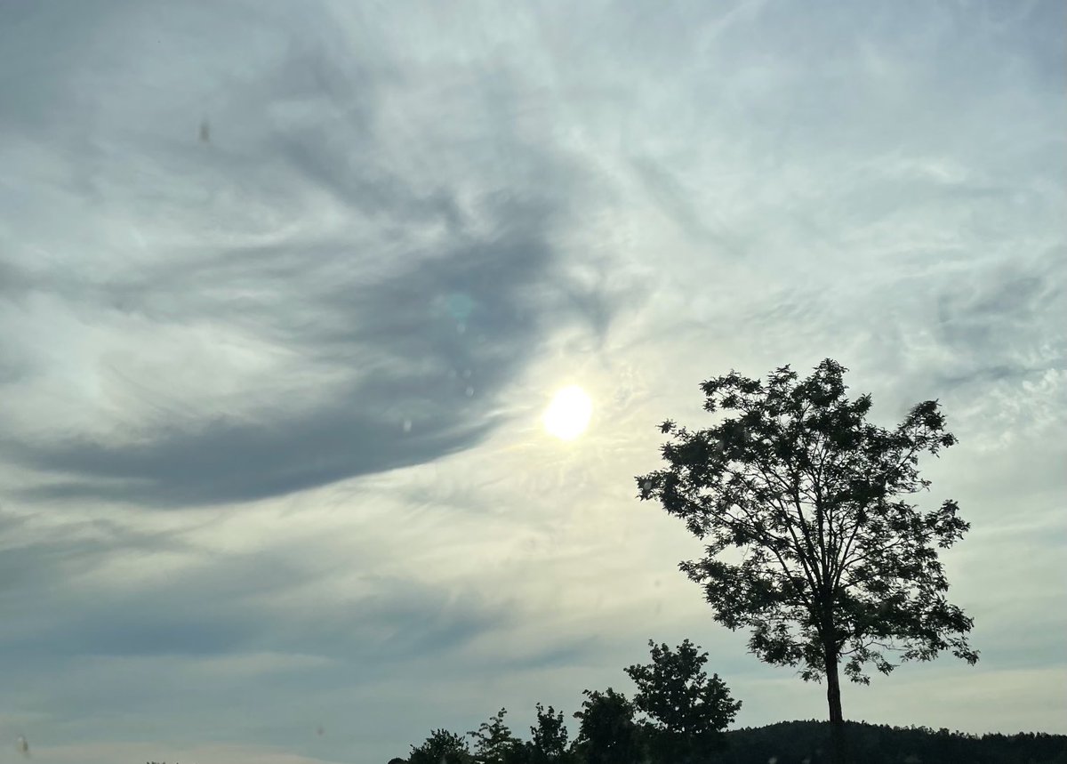 AHildebrandt70's tweet photo. Da hab ich ihm seine Himmel gegeben, –
und er ließ mir das Nahe, daraus er entschwand;
er lernte das Schweben, ich lernte das Leben,
und wir haben langsam einander erkannt ...

- Rainer Maria Rilke https://t.co/SMVDV33YcN