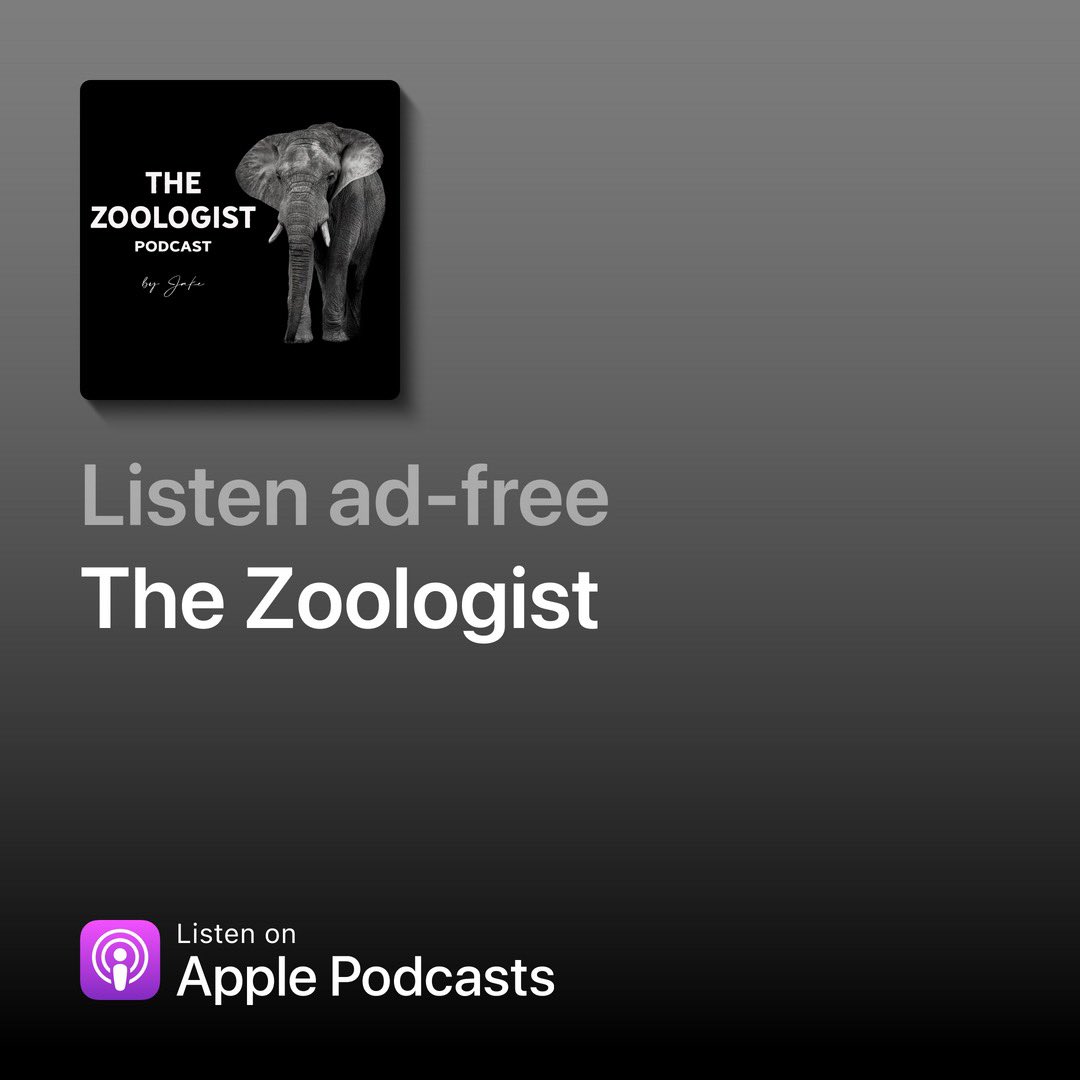 If you’re an avid animal lover searching for a podcast that’s right for you, look no further than #TheZoologist 🐘🐬🐅

Learn all about your favorite critters in a show dedicated to teaching you something new about animals each week!

New episodes are released Tuesdays at 5 AM…