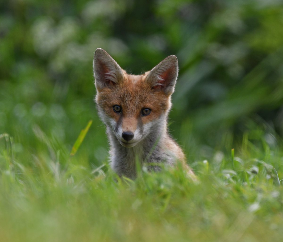 Yeah holidays are fun etc etc but I couldn’t wait to get back to these little faces tonight.