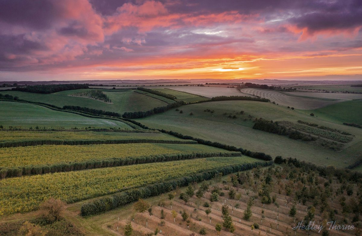 Sunset over Lowbury Hill, from Wessex Airscapes in 2021. #England HedleyThorne.com