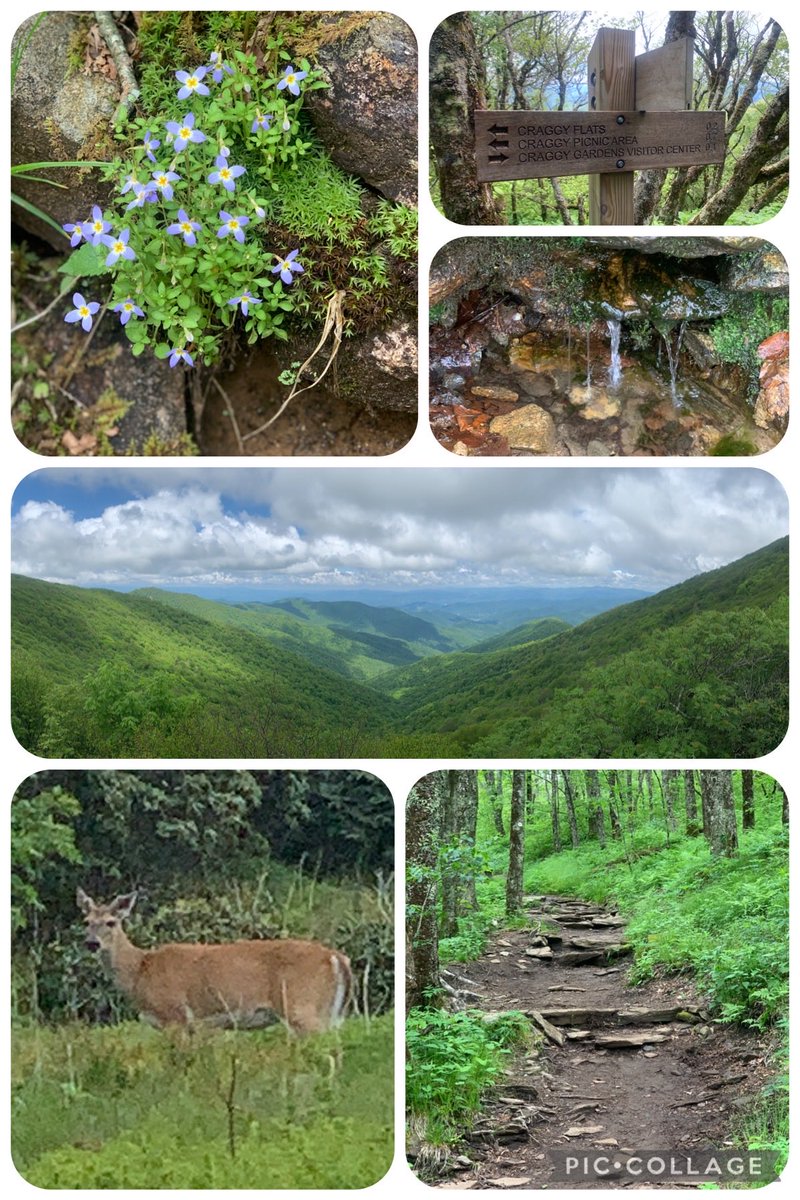 MarkPerryCPA's tweet photo. The glory of God’s majesty on full display in the Blue Ridge Mountains. #YWHW https://t.co/nXKAP2zLtH