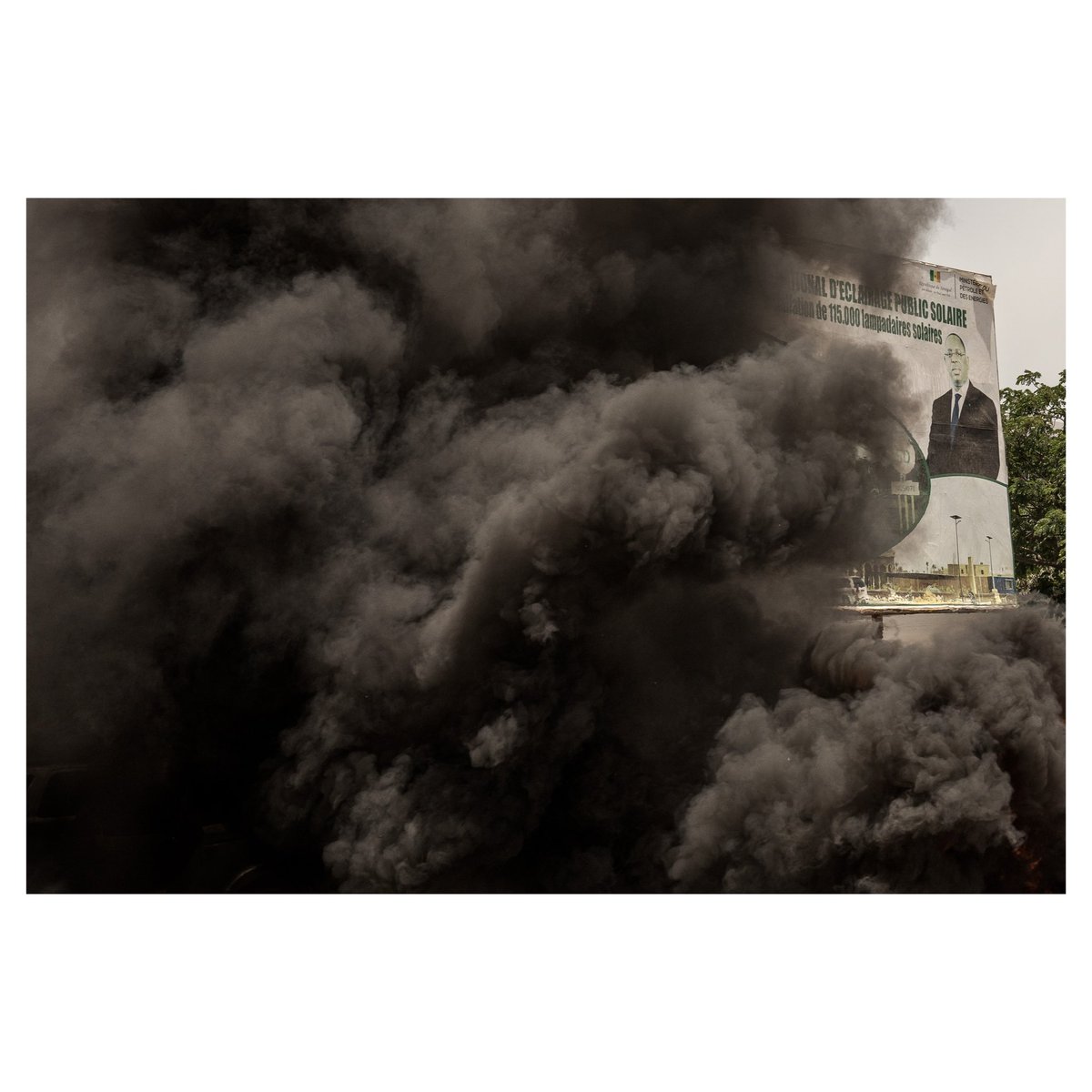 Annika Hammerschlag tweet media