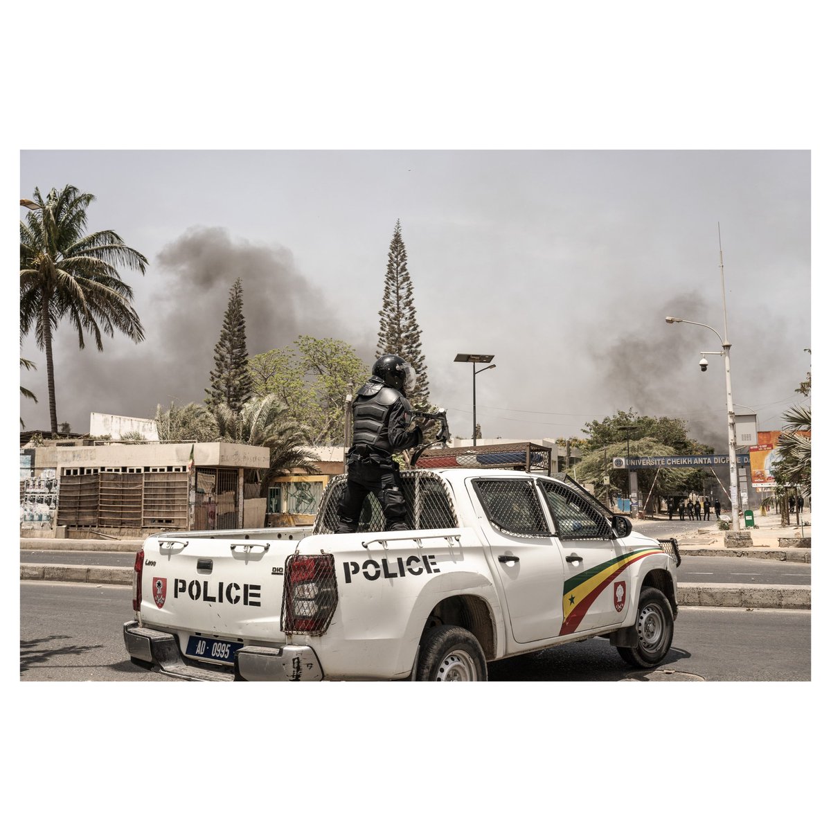 Annika Hammerschlag tweet media