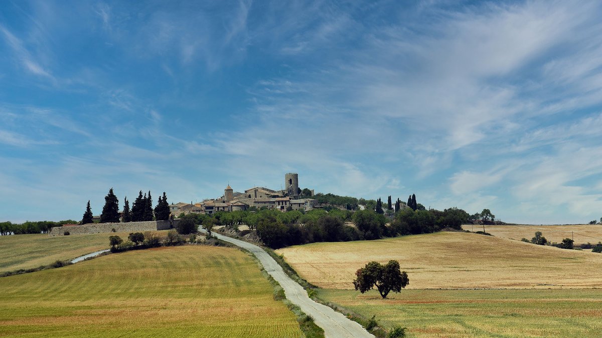 SomSegarra's tweet photo. Pobles a la primavera L'Ametlla de Segarra als #comalats #bonatarda
@lasegarra @aralleida @catexperience @descobrircat @Espirituviajero @Turisme_Segarra @caminsnatura
ℹ️ https://t.co/c7WLKtSIyN https://t.co/1AebN26nmX