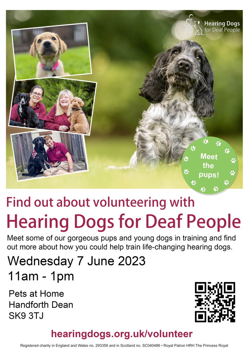 Would you like to find out more about @HearingDogs and volunteering with us? Come find us at @PetsatHome Handforth Dean on Weds 7th June 11 - 1pm! #VolunteersWeek2023