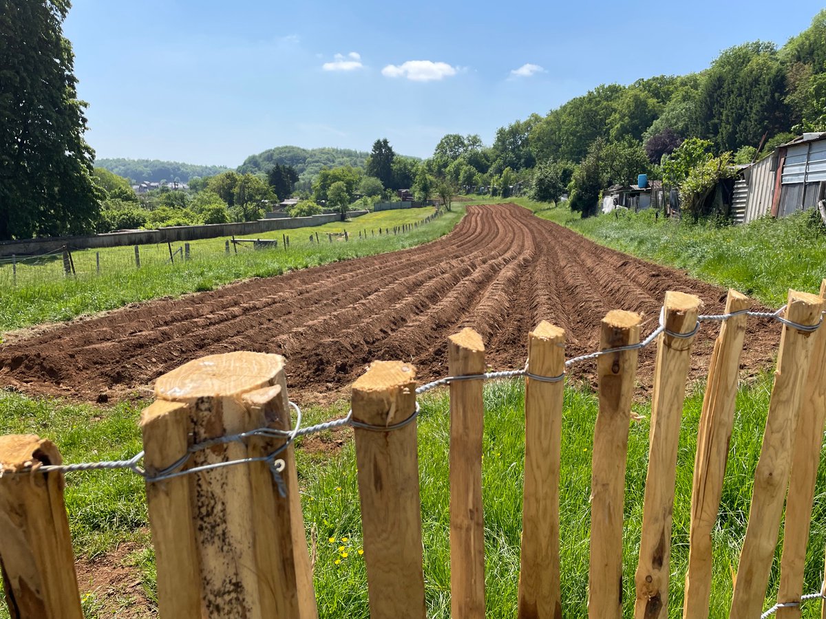 Fusilli_project's tweet image. #Differdange has an educational mission! Introducing: the Kondel Lab and its pedagogical gardens. 🌾 👩‍🌾

Learn how the gardens will:
🚸 inspire children on vegetable cultivation
🥕 expand the city&apos;s local production

Read now 📖▶️  tinyurl.com/mrxnxay7