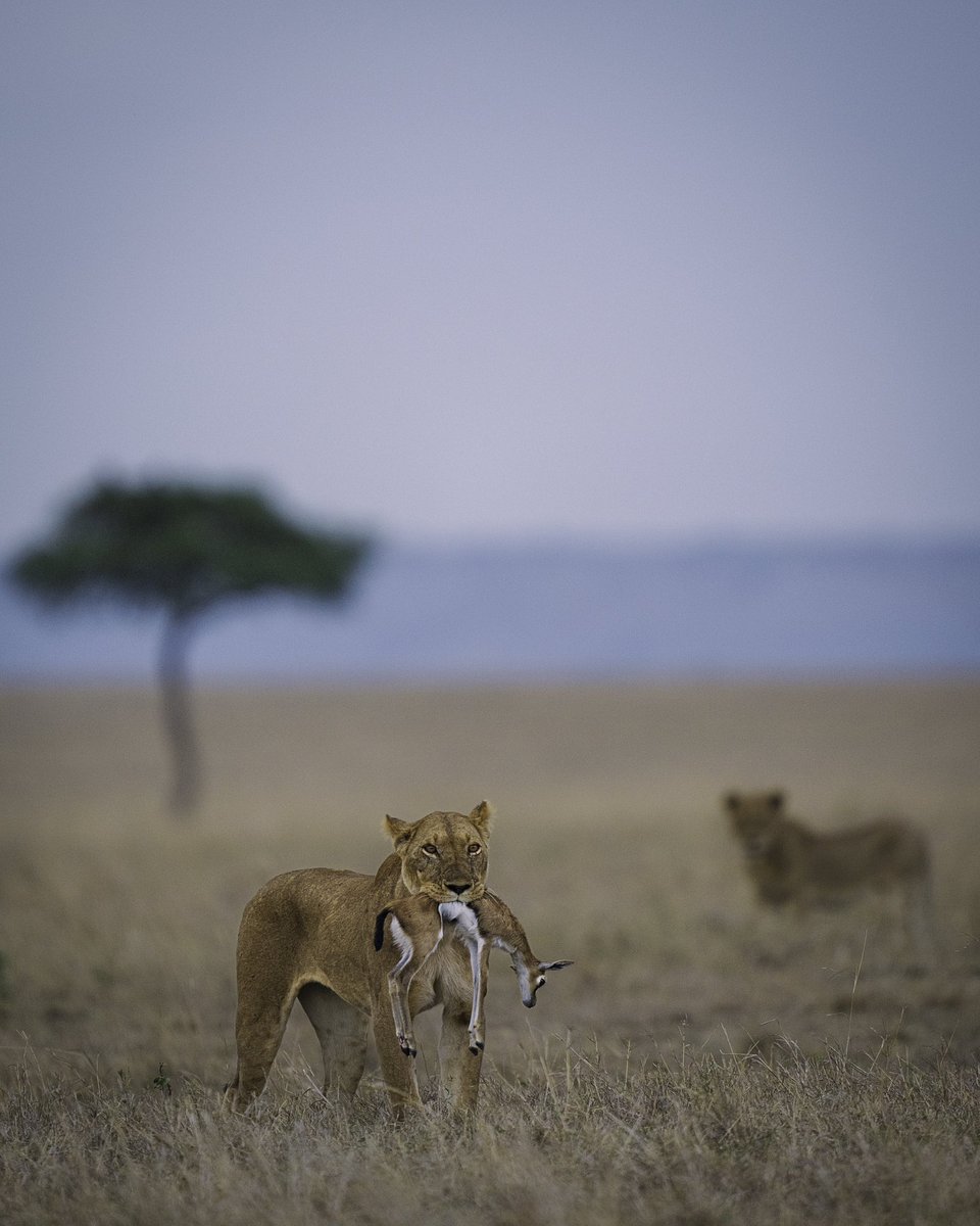 madhurnangia.eth tweet media