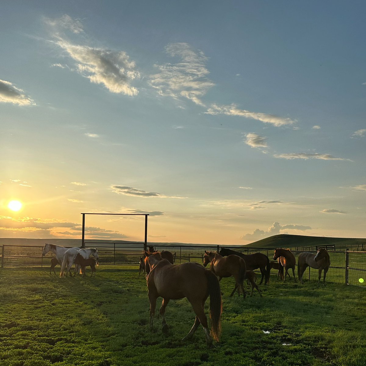 Mona Howe tweet media