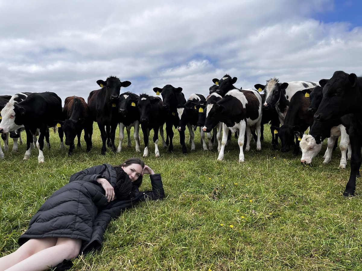 The thing about doing a photo shoot with a fabulous musician and performer is that they seem to pull an audience everywhere they go - this mornings adventure with <a href="/carygrace/">Cary Grace</a>  - frequently interrupted by cattle #carygrace @gongplanet #locationshoot
