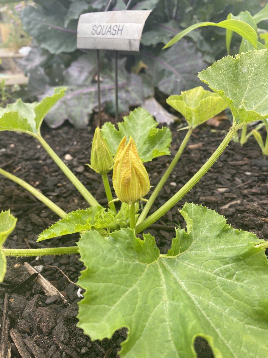 marietculver's tweet image. You are my Sunshine. #love #hope #VBStrong 💙💙💙 ⁦@SeatackDream⁩ ⁦@vbschools⁩ ⁦@CityofVaBeach⁩ ☀️☀️☀️