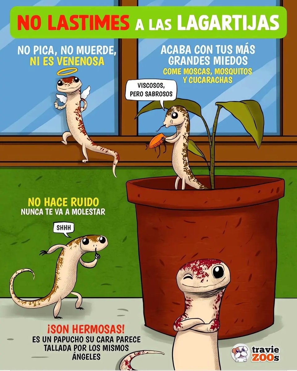 No lastimes a las lagartijas