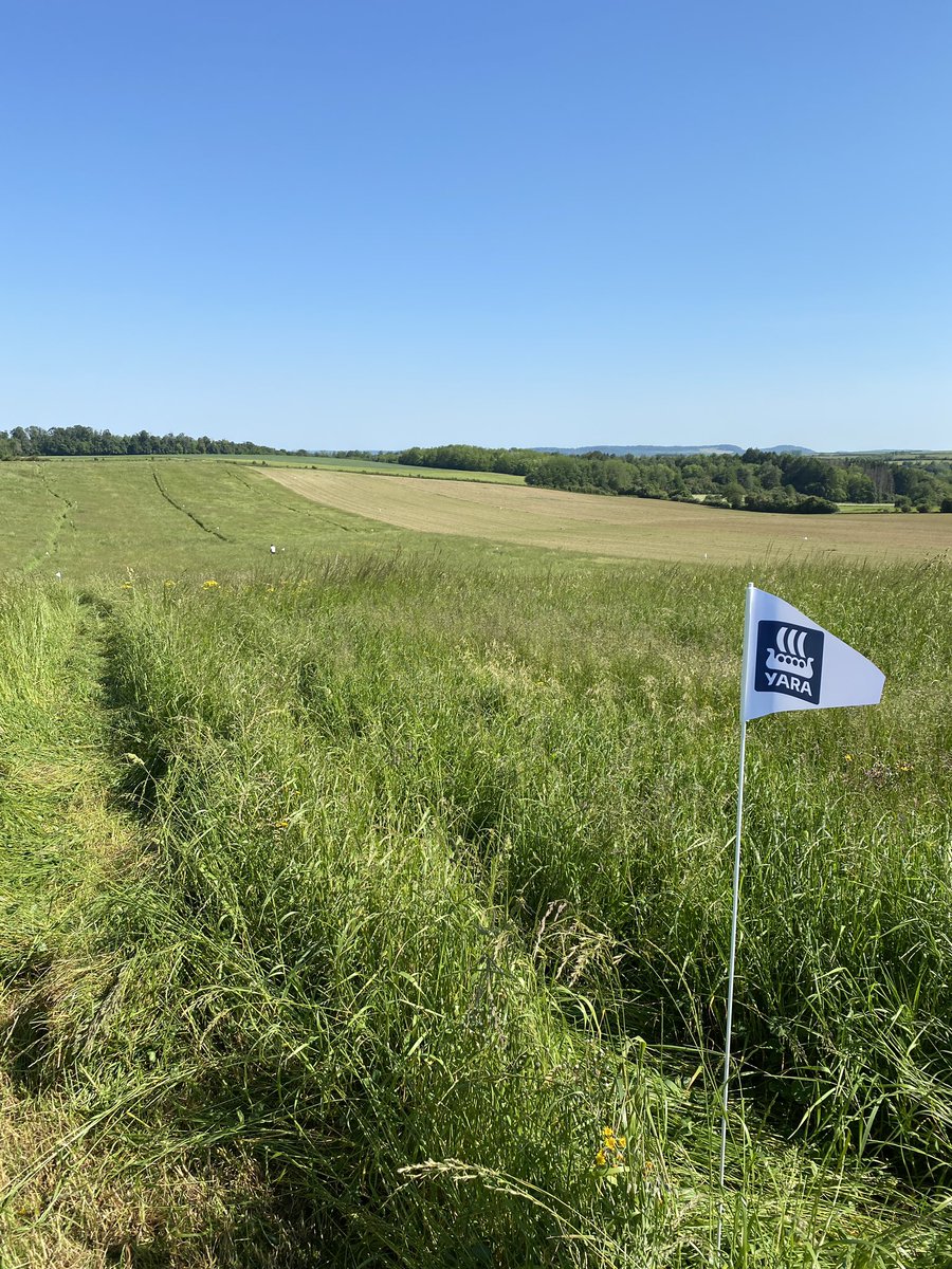 CMOnord's tweet image. Aujourd’hui sur notre expé modulation de l’#ammonitrate sur #prairie avec le @YARA_france #Nsensor c’est l’heure des pesées et échantillonnages sous un🌞 radieux en jolie plaine des #Vosges
Je vous montre tout ça d’en haut dans une vidéo bientôt 🤝