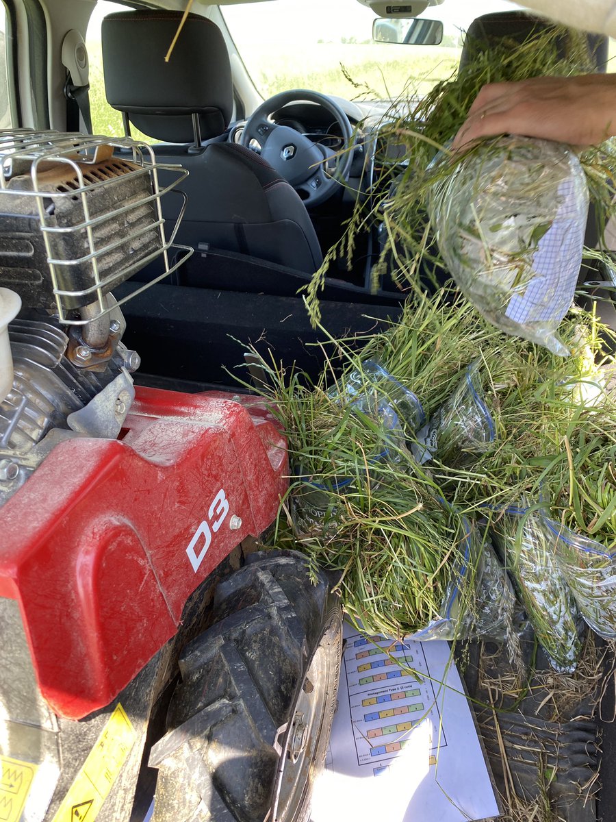 CMOnord's tweet image. Aujourd’hui sur notre expé modulation de l’#ammonitrate sur #prairie avec le @YARA_france #Nsensor c’est l’heure des pesées et échantillonnages sous un🌞 radieux en jolie plaine des #Vosges
Je vous montre tout ça d’en haut dans une vidéo bientôt 🤝