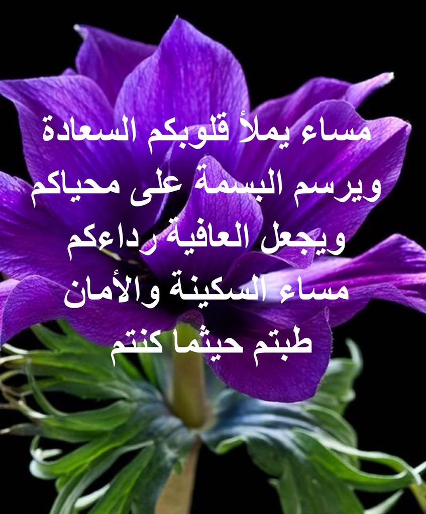 عاشق اليمن26 (@a2edzuuuam2341) on Twitter photo 