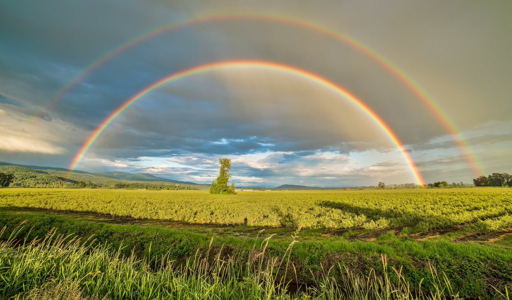 “Thus, I will establish my covenant with you, and never again shall all flesh be cut off by the waters of the flood; nor shall there ever again be a flood to destroy the earth.”
Genesis 9:11
#Orthdodox #Christianity #Noah #theArk #rainbow #Christ #Orthodoxy #HolyTradition