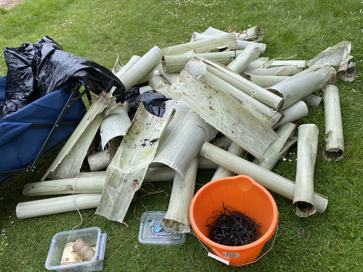 dpsforestschool tweet media