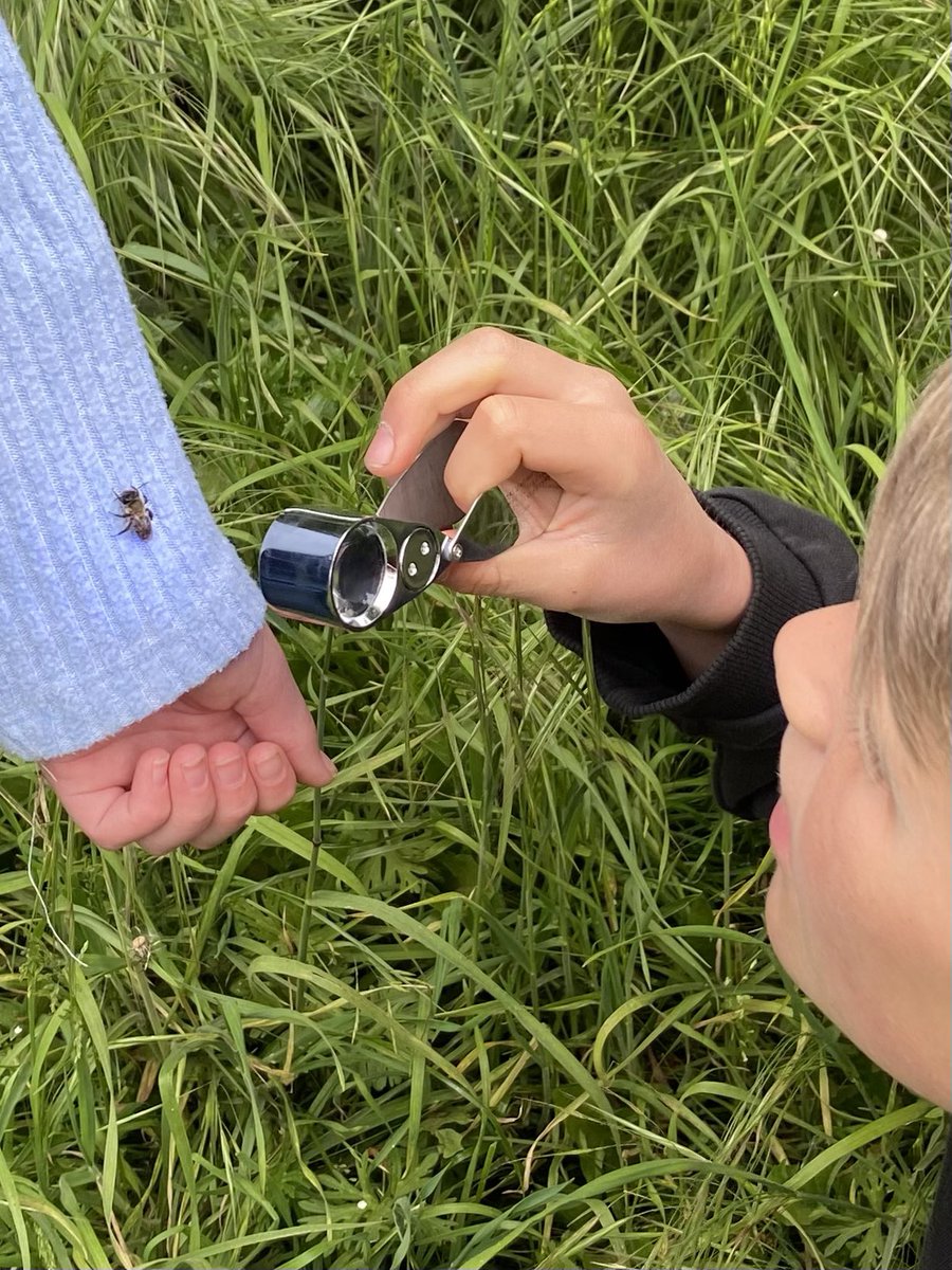 dpsforestschool tweet media