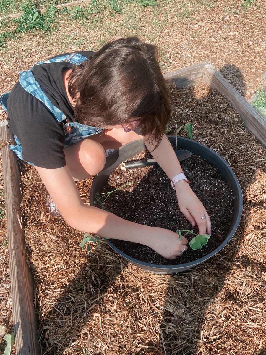Finally getting our hands in the school garden! This girls is not afraid to get her hands dirty! Planting green beans 🫘