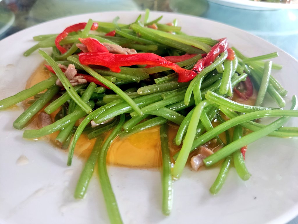 Learning gastro-taxonomy when traveling must be mandatory! A few plant-based dishes from the amazing C-E Chinese cuisine that are not easy to find in Occident: nut-tofu (Castanopsis, Fagaceae), yam (Dioscoreaceae), amaranth (Amaranthaceae), and sweet potato stems (Convolvulaceae)